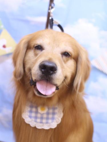 20240303レオくん